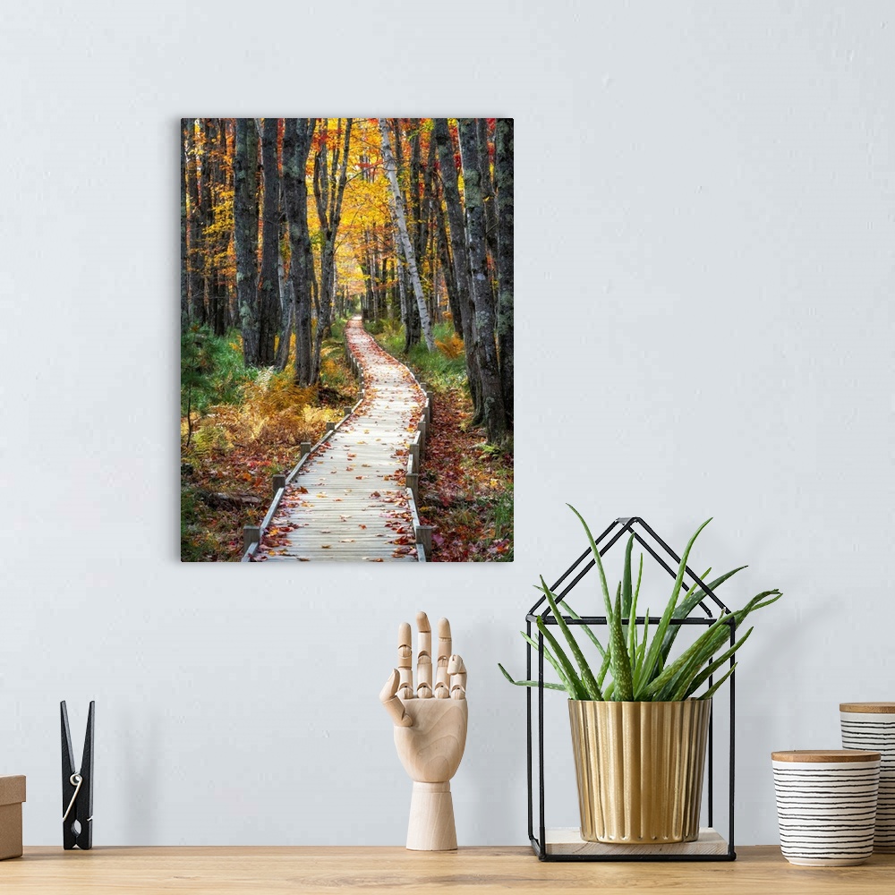 A bohemian room featuring Autumn Boardwalk I