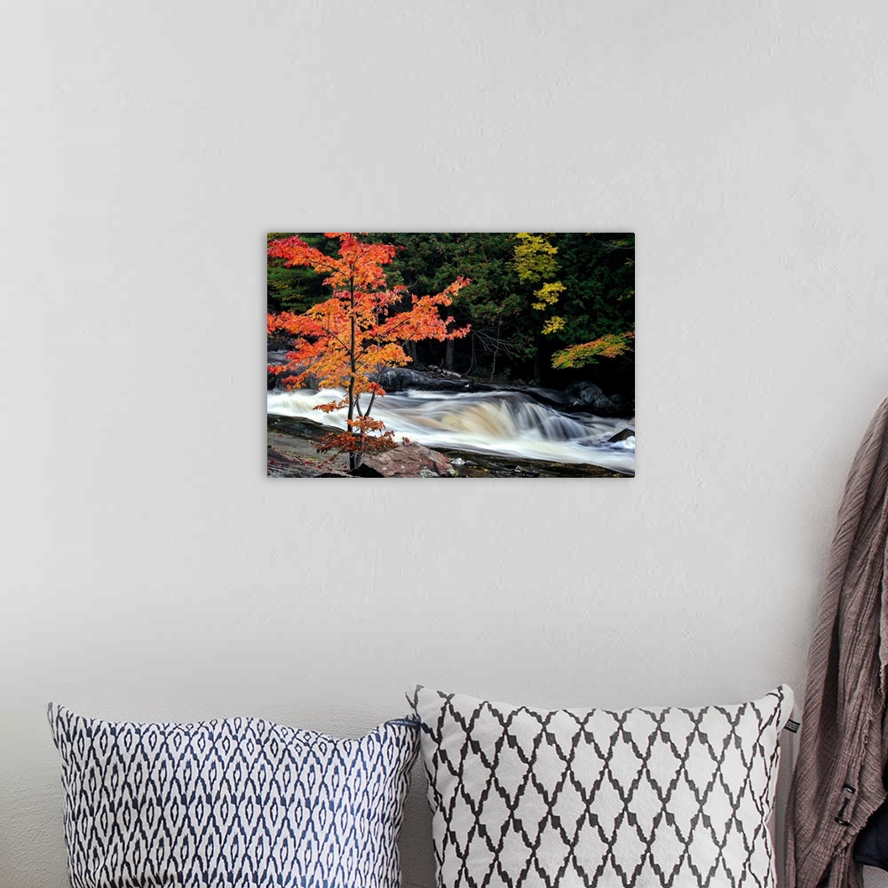 A bohemian room featuring A photograph of Lower Rosseau Falls in  Ontario during fall.