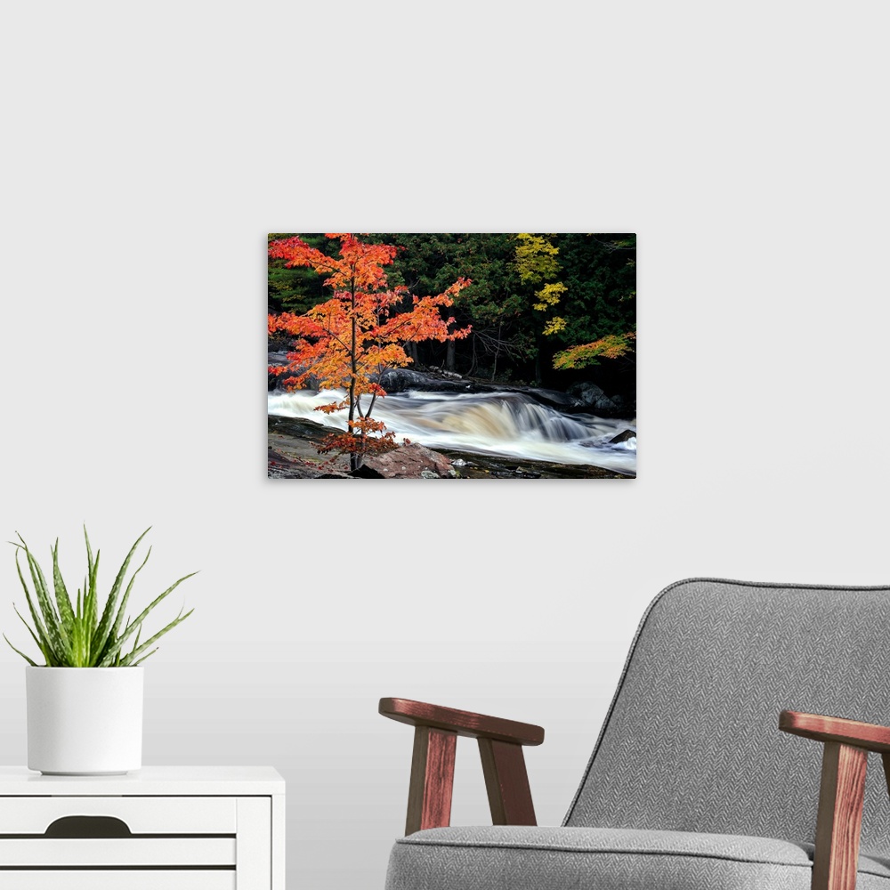 A modern room featuring A photograph of Lower Rosseau Falls in  Ontario during fall.