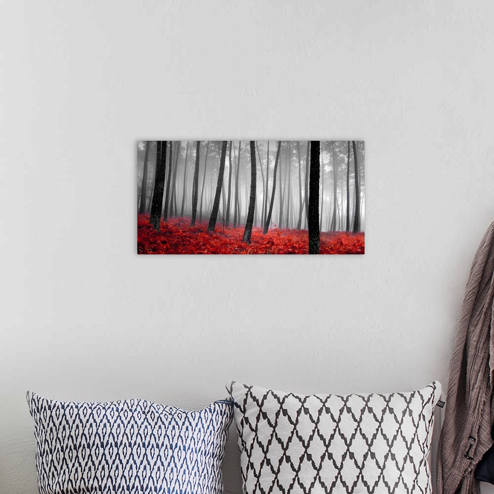A bohemian room featuring A panoramic photograph of a monochrome forest with bright red bed of plants.