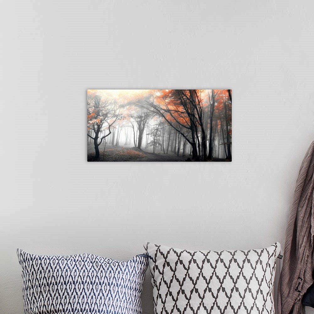 A bohemian room featuring Black and white horizontal landscape of a forest with selective color in the trees.