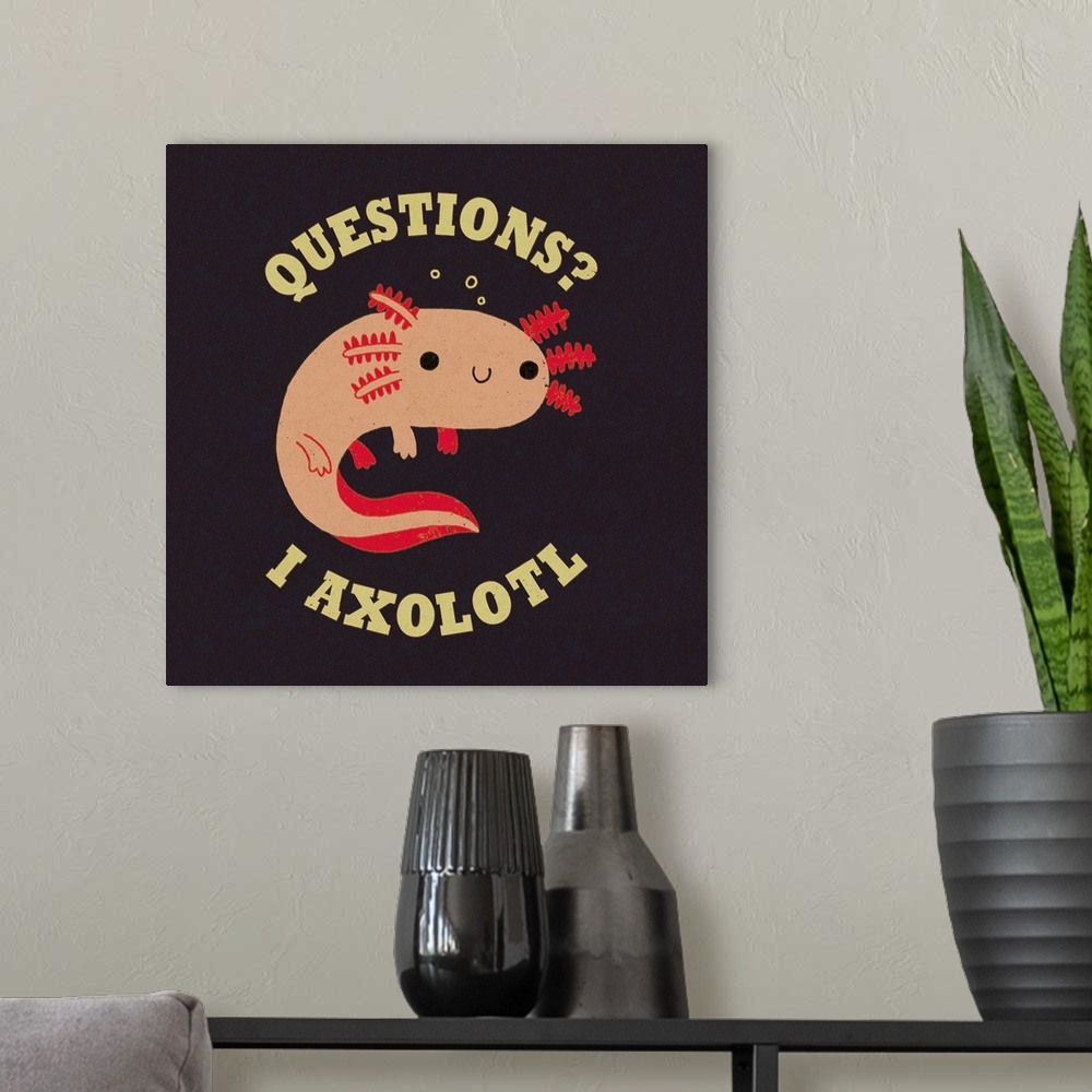 A modern room featuring Axolotl Questions
