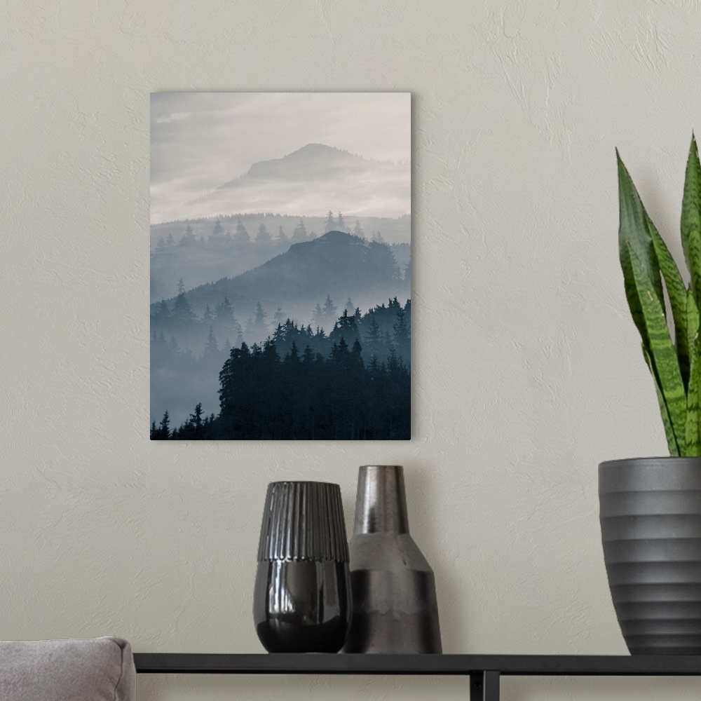 A modern room featuring Blue Mountains I