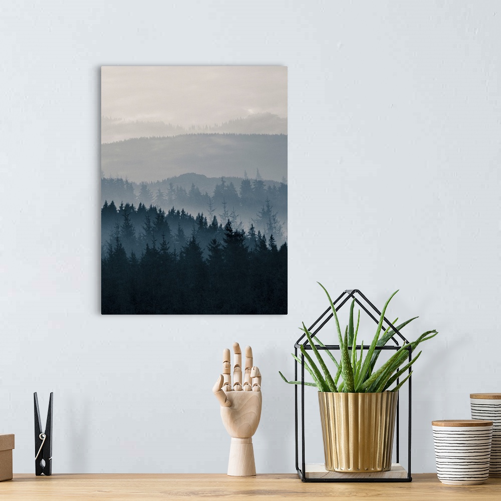 A bohemian room featuring Blue Mountains II
