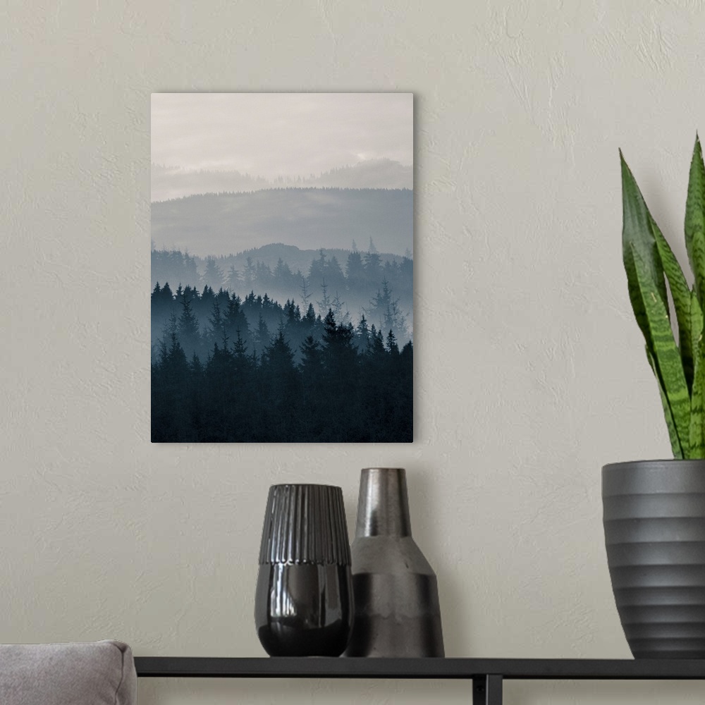 A modern room featuring Blue Mountains II
