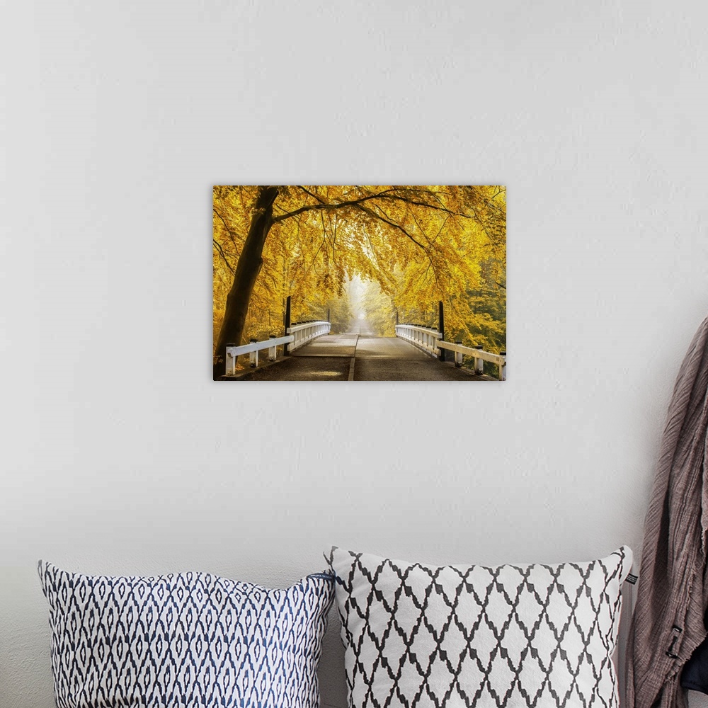 A bohemian room featuring Beautiful fall landscape of a bridge and road going off in the distance, surrounded by bright yel...
