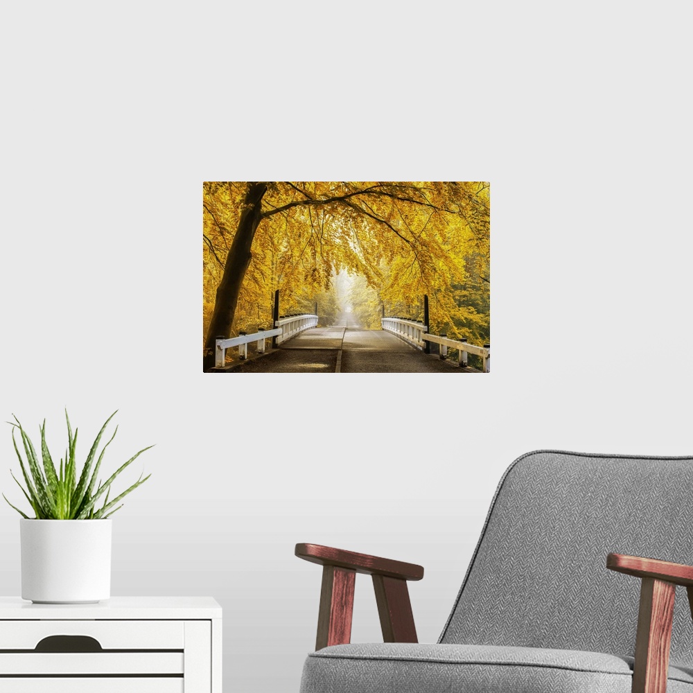 A modern room featuring Beautiful fall landscape of a bridge and road going off in the distance, surrounded by bright yel...