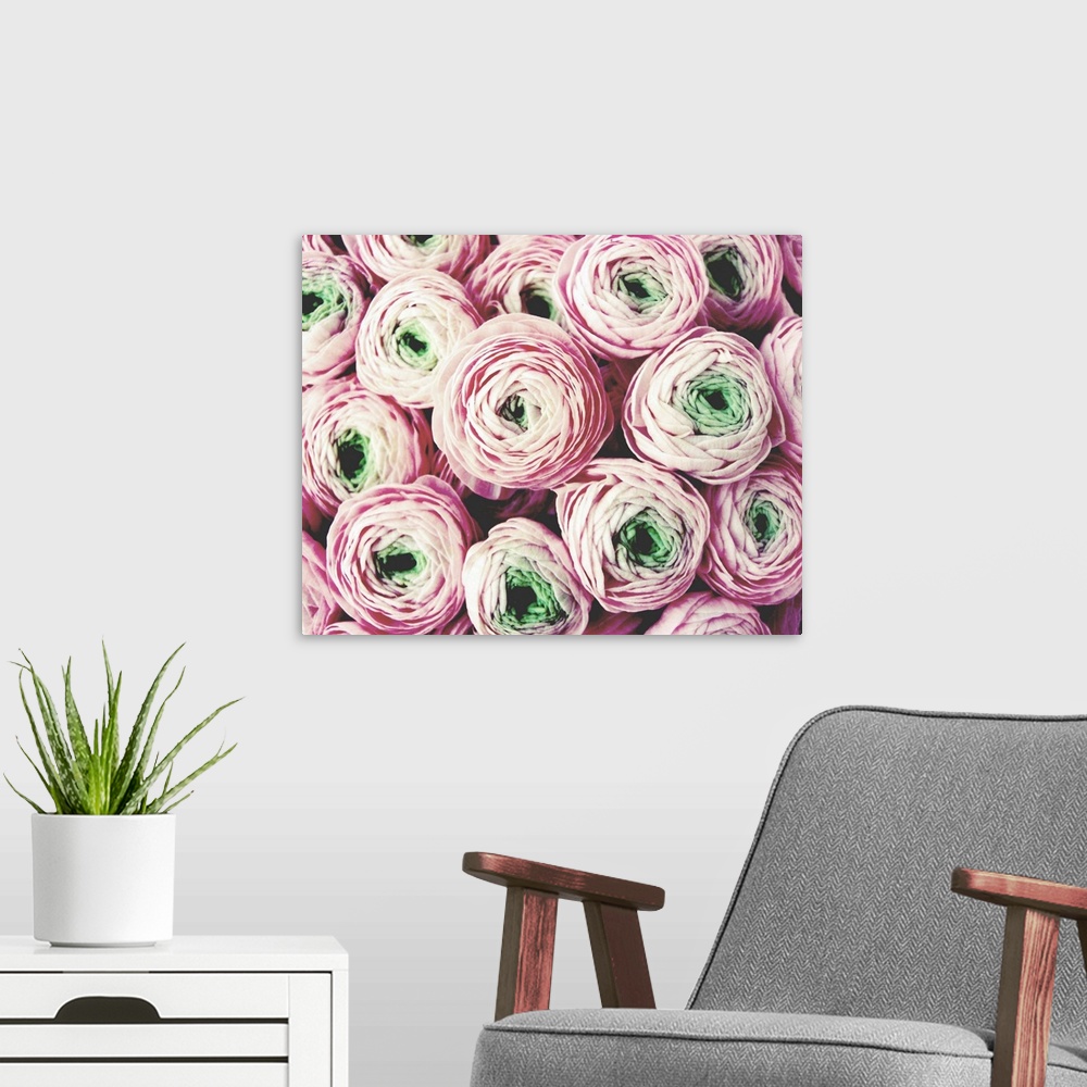 A modern room featuring Photograph of a pale pink bouquet of flowers with green centers.