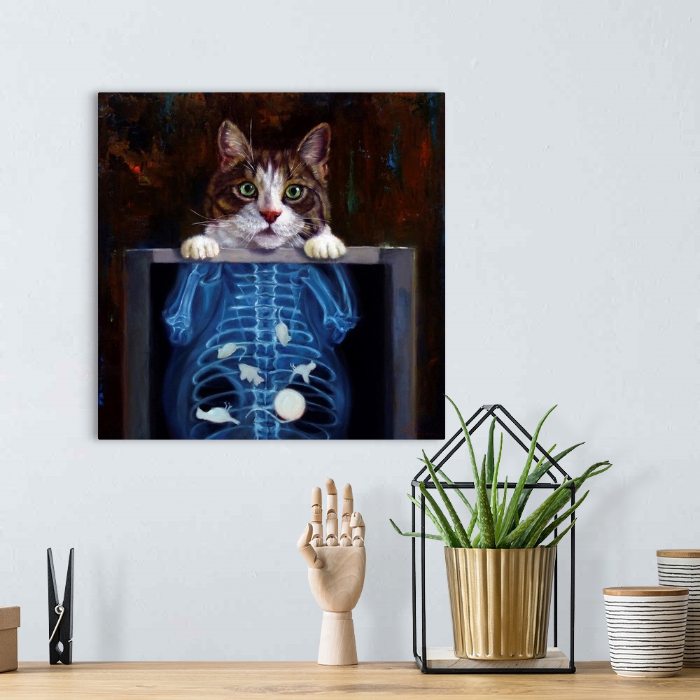 A bohemian room featuring Cat Scan