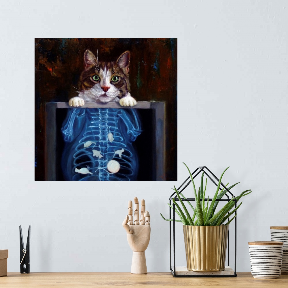 A bohemian room featuring Cat Scan