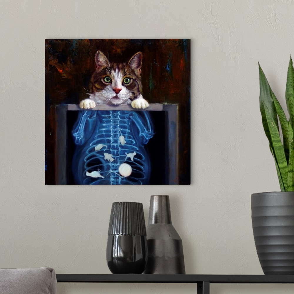 A modern room featuring Cat Scan