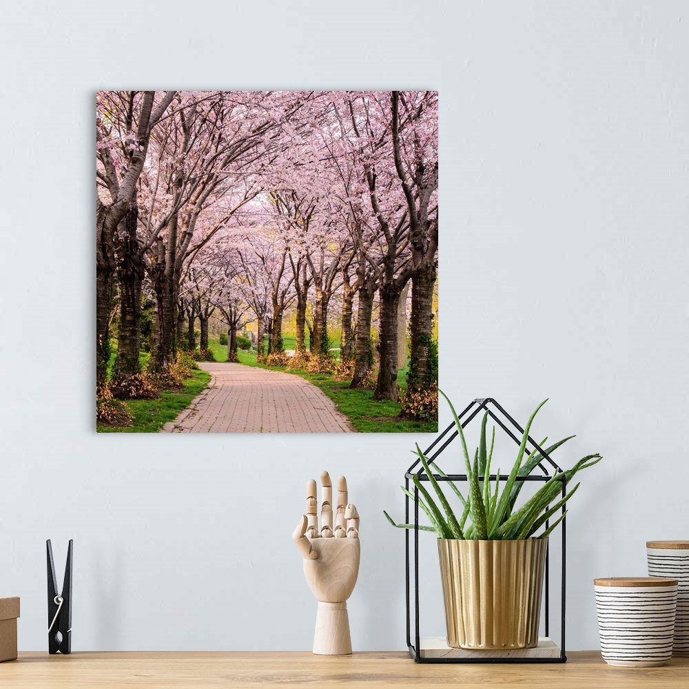 A bohemian room featuring Cherry Blossom Trail