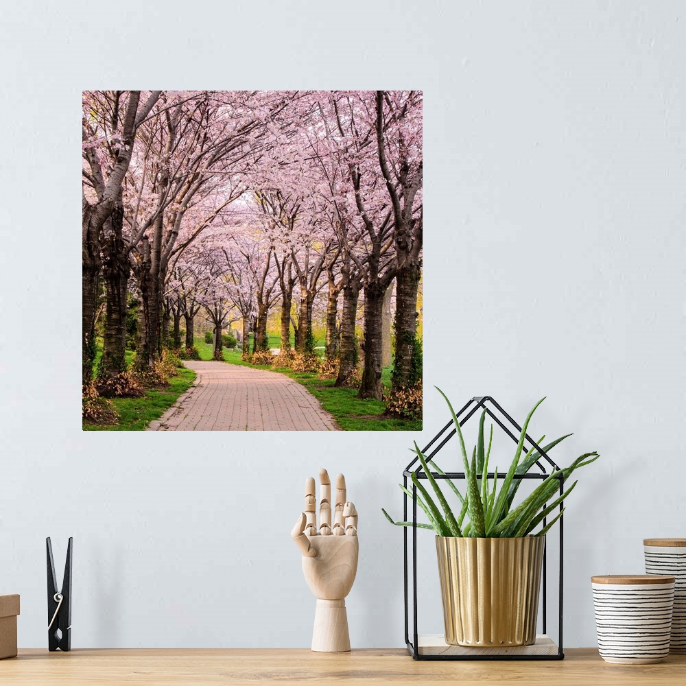 A bohemian room featuring Cherry Blossom Trail