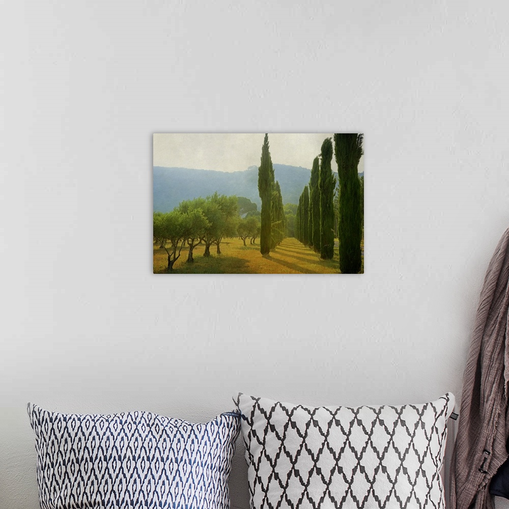 A bohemian room featuring A photograph of an idyllic countryside scene, with late afternoon light hitting cypress trees and...