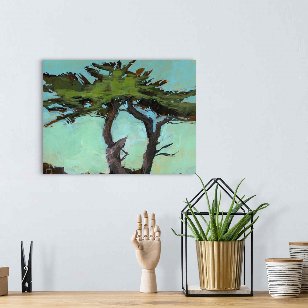 A bohemian room featuring Cypresses