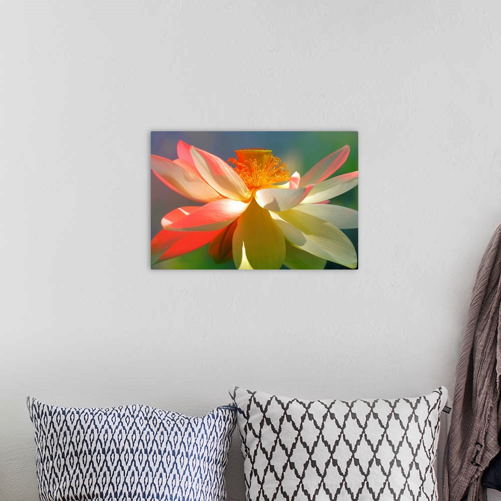 A bohemian room featuring A soft pastel colored photograph of a white flower.