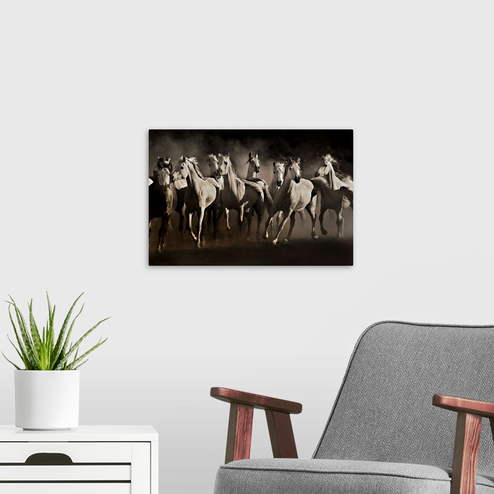 A modern room featuring Dream Horses