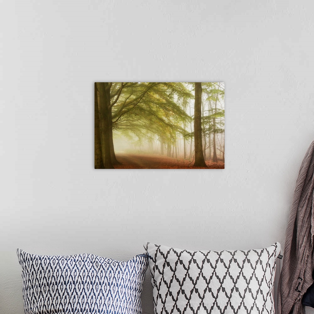 A bohemian room featuring A dreamy photograph of path through a forest consumed with mist.