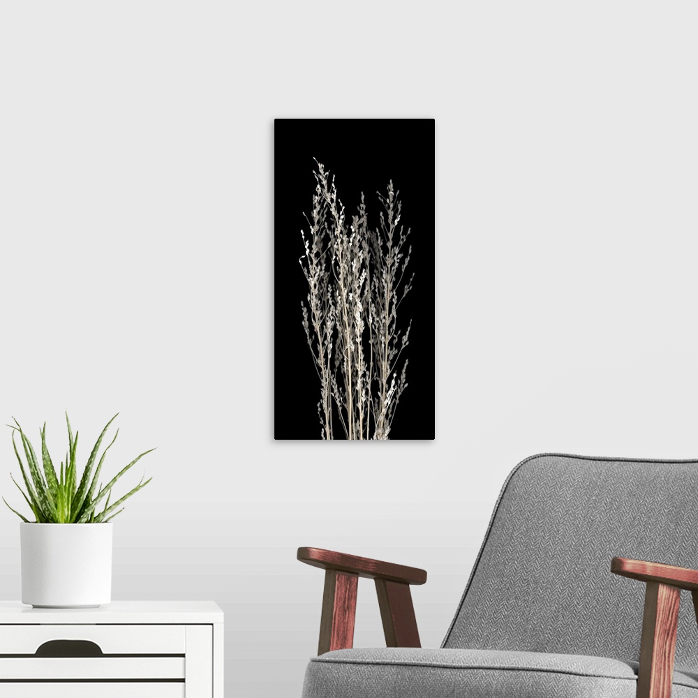 A modern room featuring Long vertical photograph of dried flowers.