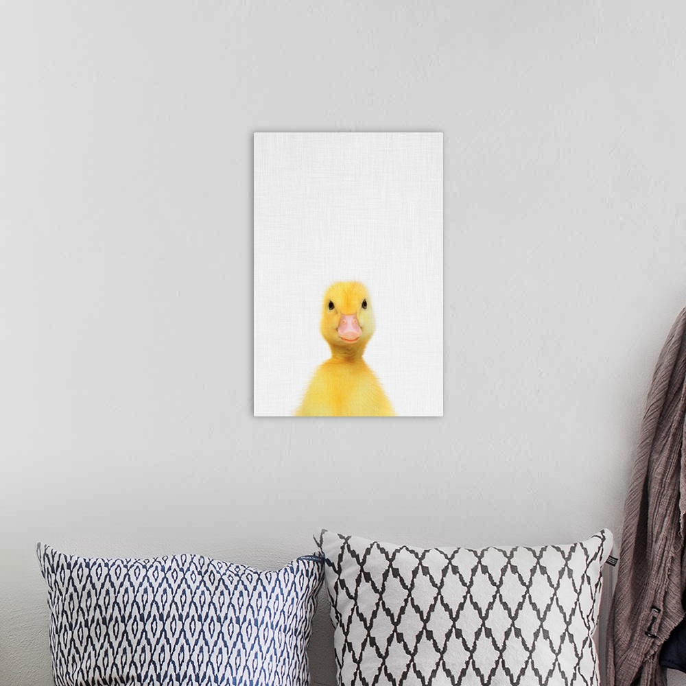 A bohemian room featuring A digital illustration of a baby duck.