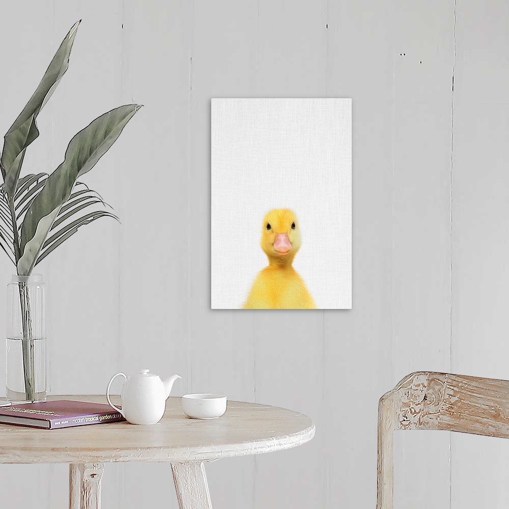 A farmhouse room featuring A digital illustration of a baby duck.