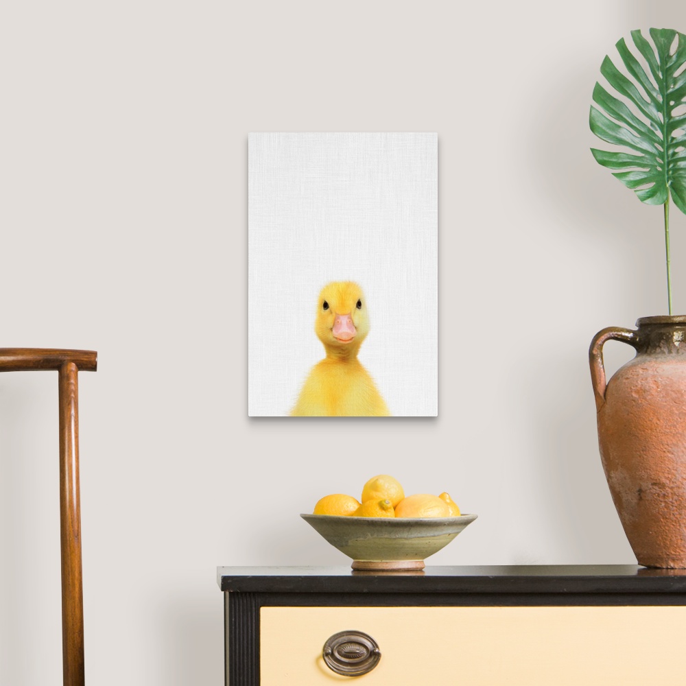 A traditional room featuring A digital illustration of a baby duck.