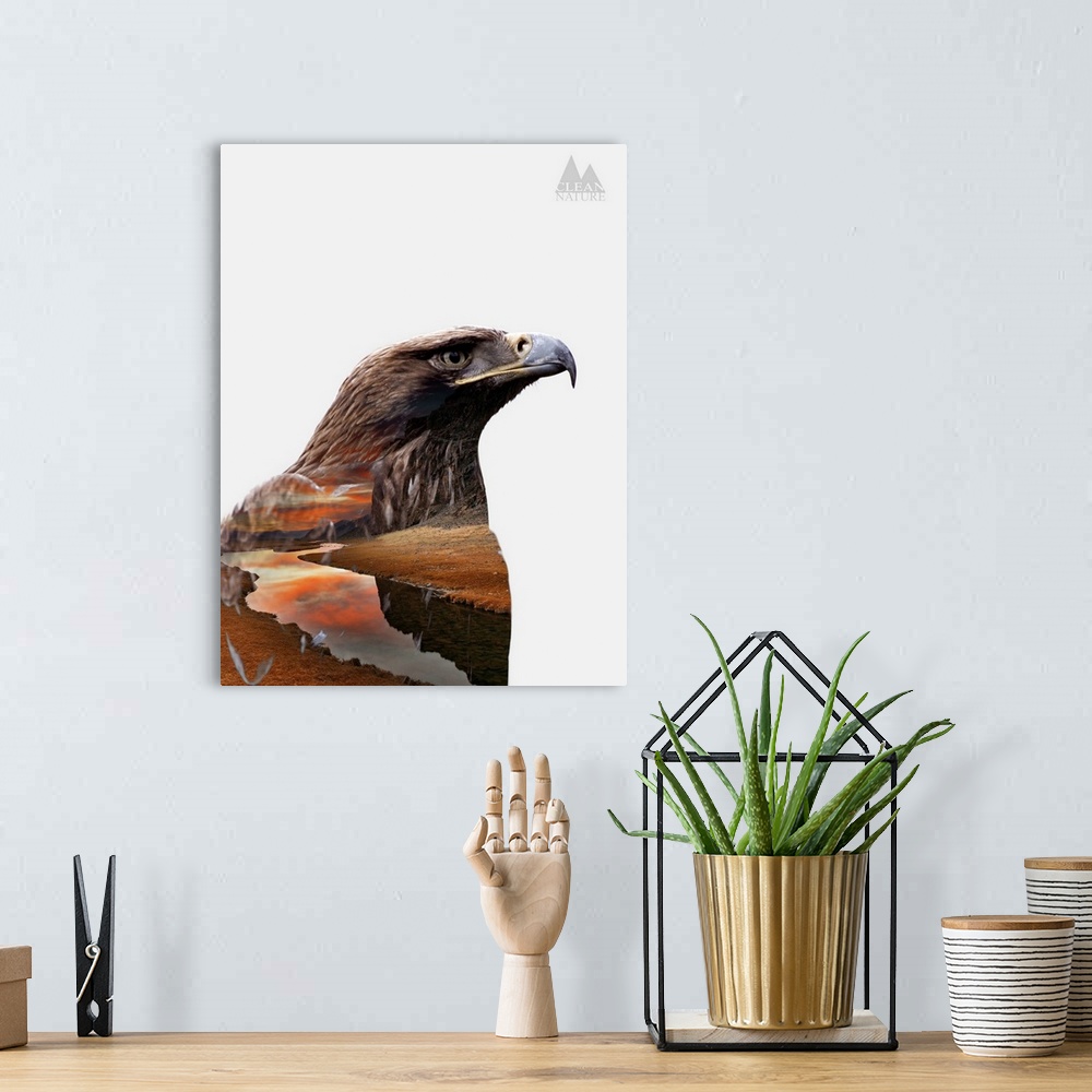 A bohemian room featuring A composite image of an eagle merged with an image of a stream along a mountain.