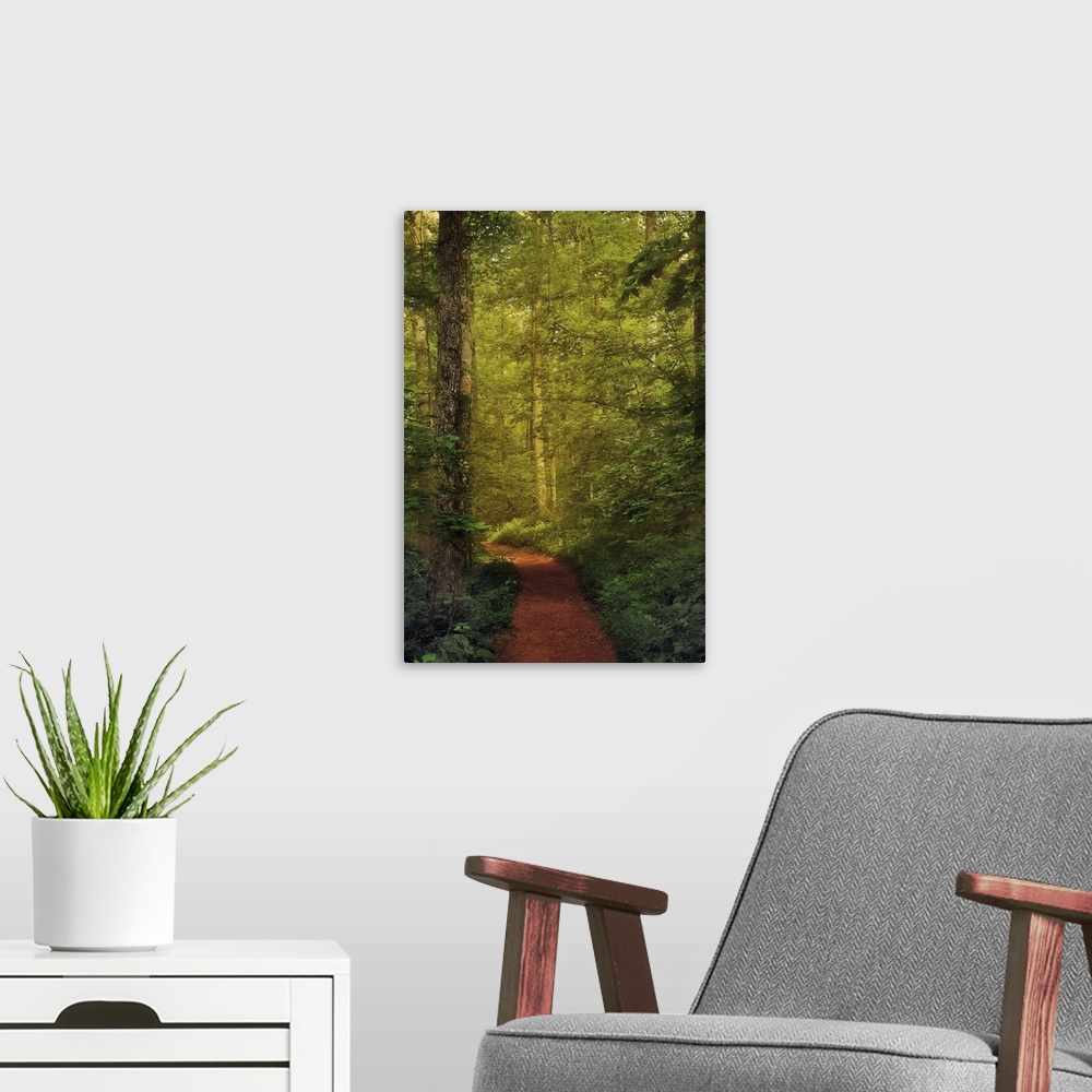 A modern room featuring A photograph of a forest in green foliage, with a red forest floor path cutting through it.