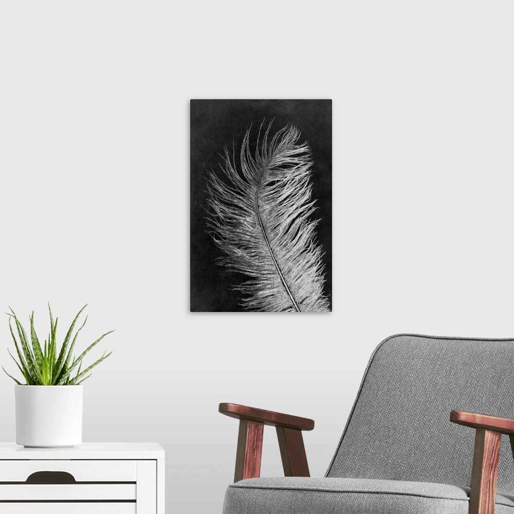 A modern room featuring Feather 3 Dark