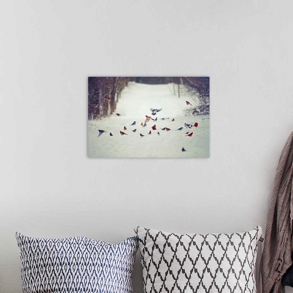 A bohemian room featuring Feathered Friends Birds In Snow