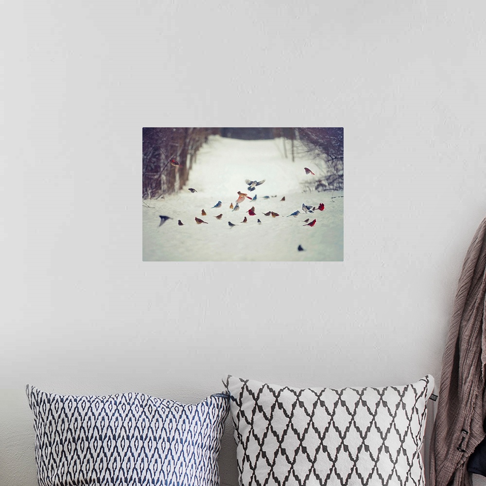 A bohemian room featuring Feathered Friends Birds In Snow