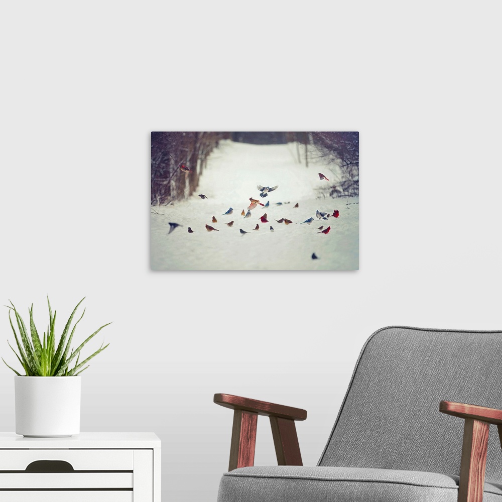 A modern room featuring Feathered Friends Birds In Snow