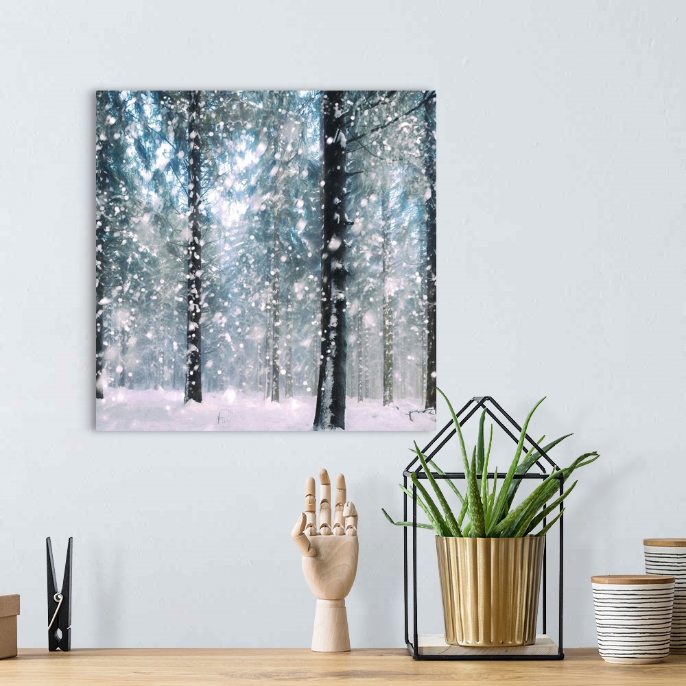 A bohemian room featuring Square image of a forest in the winter with large snowflakes falling on the ground.