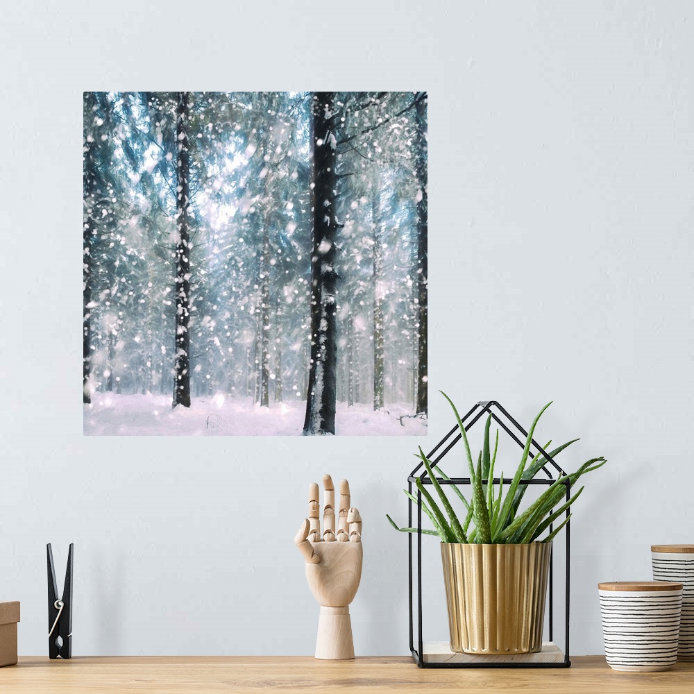 A bohemian room featuring Square image of a forest in the winter with large snowflakes falling on the ground.
