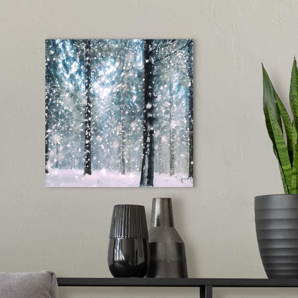 A modern room featuring Square image of a forest in the winter with large snowflakes falling on the ground.