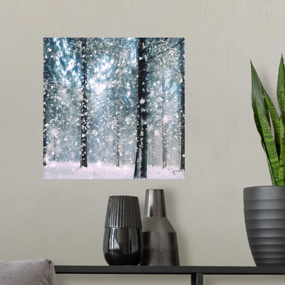 A modern room featuring Square image of a forest in the winter with large snowflakes falling on the ground.