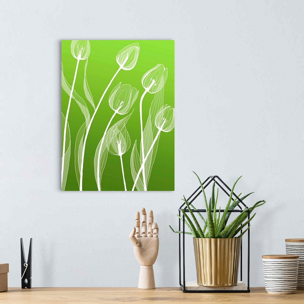 A bohemian room featuring A digital illustration of white flowers against a green background.