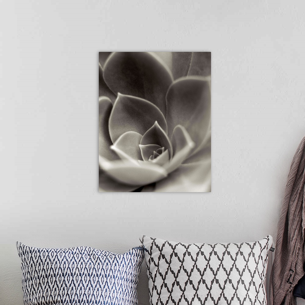 A bohemian room featuring A black and white photograph of a close-up of a succulent plant.
