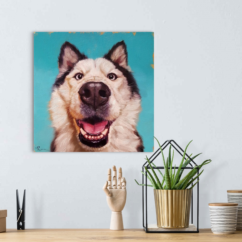 A bohemian room featuring A contemporary painting of a Siberian Husky against a blue backdrop.