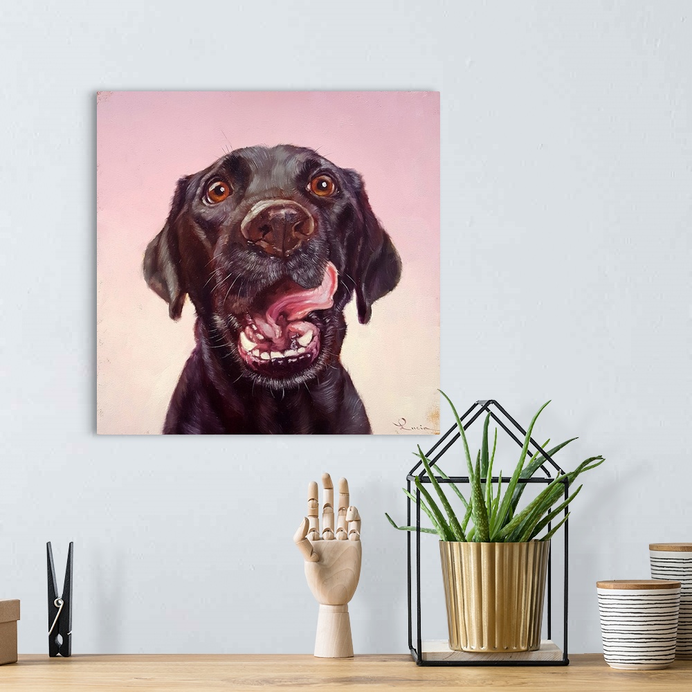 A bohemian room featuring A contemporary painting of a black labrador against a pink backdrop.