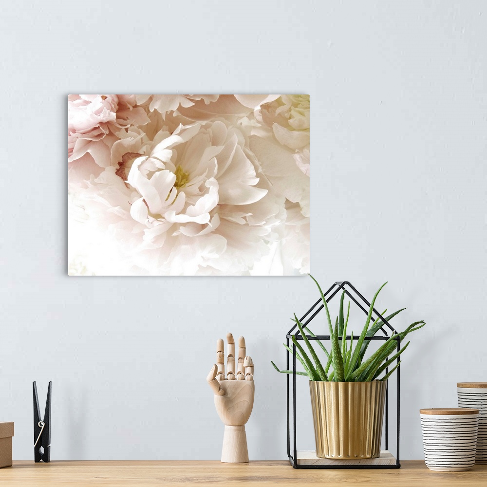 A bohemian room featuring A close up photograph of a bouquet of pale pink and white flowers.