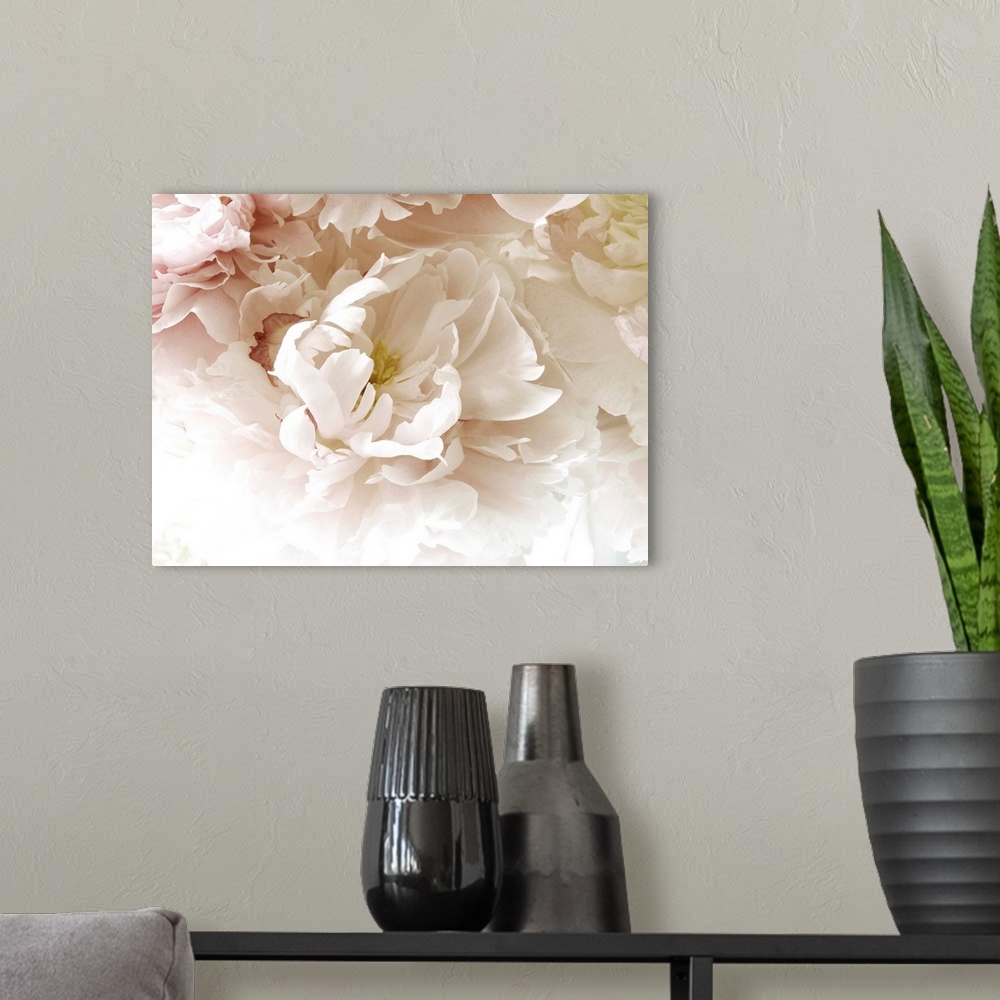 A modern room featuring A close up photograph of a bouquet of pale pink and white flowers.