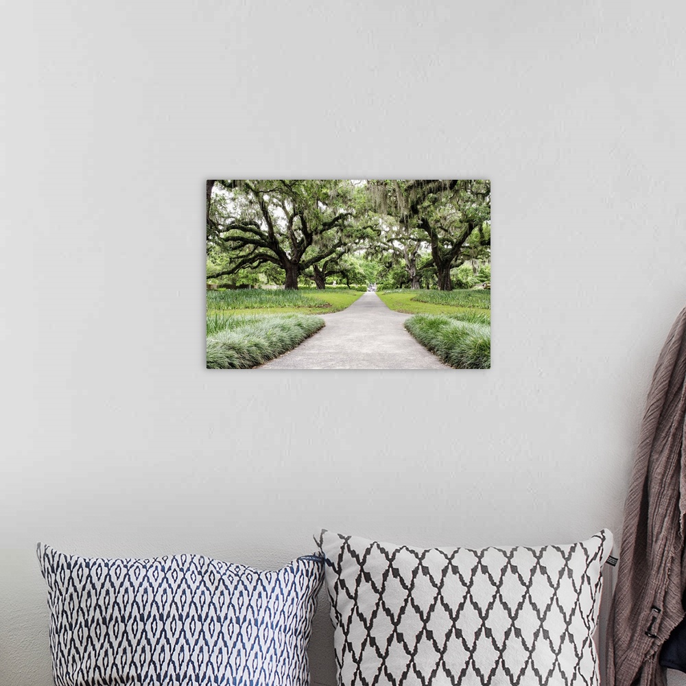 A bohemian room featuring A photograph of a walking path in Brookgreen Gardens.