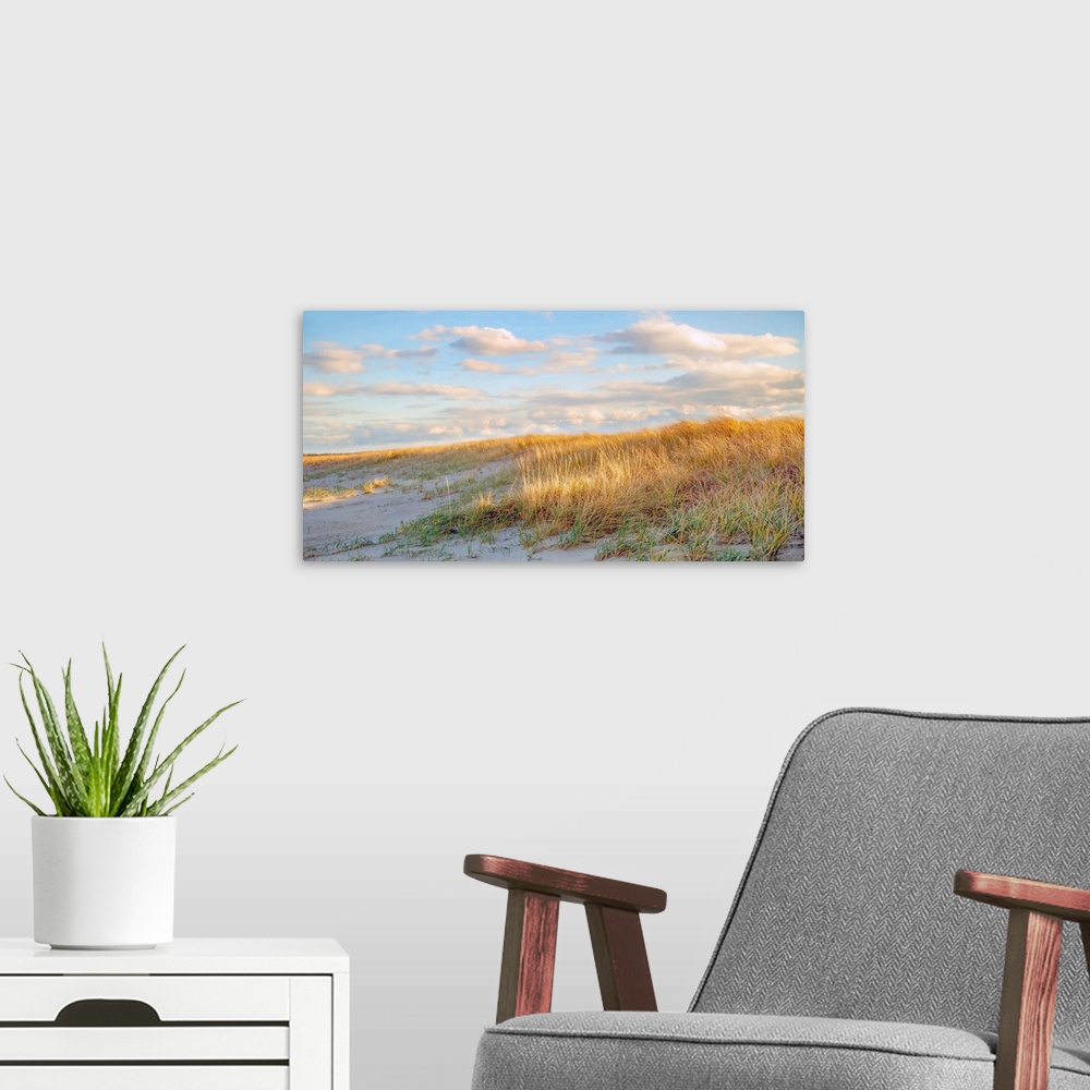 A modern room featuring Grassy Dunes Panorama