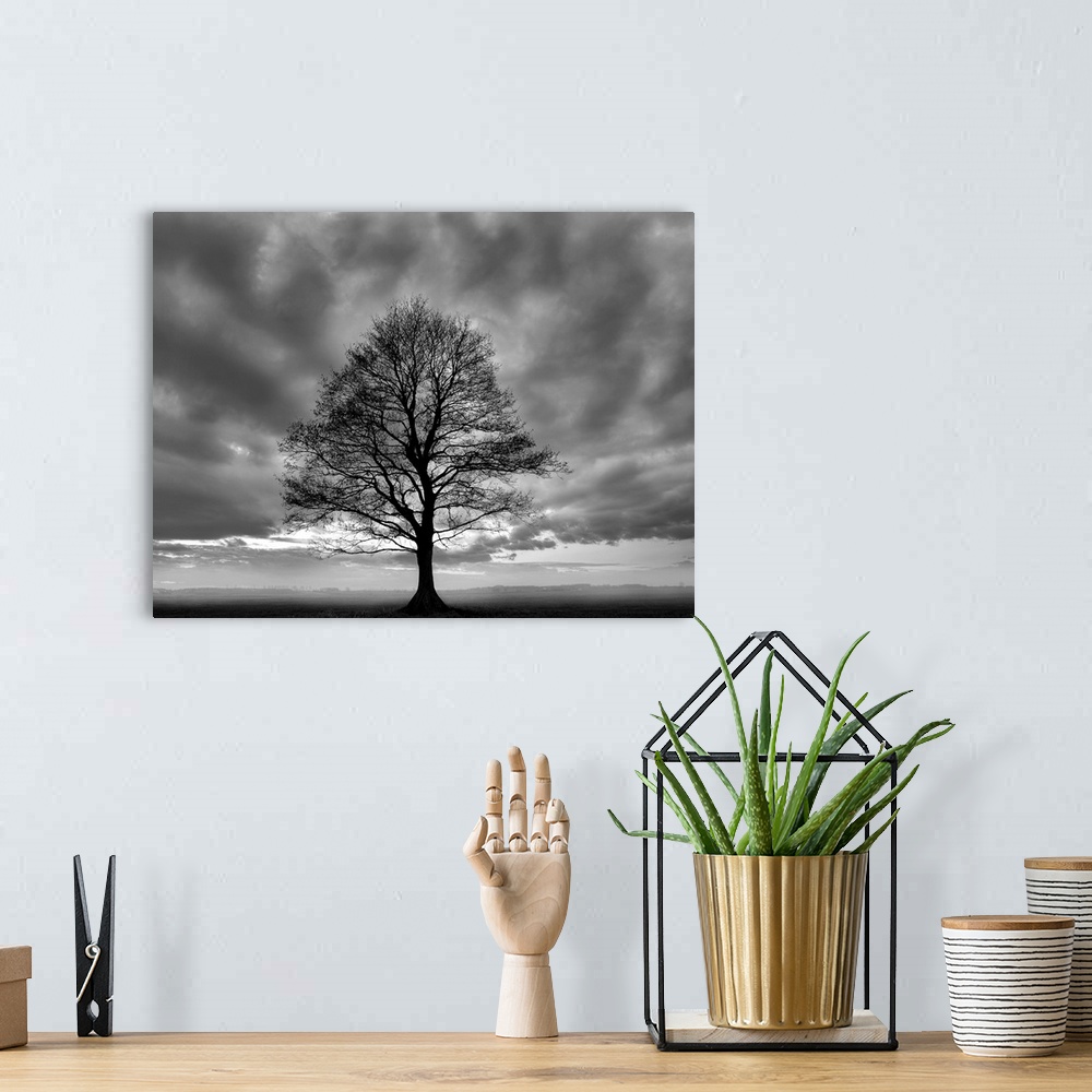 A bohemian room featuring A horizontal black and white photograph of a single tree in a field covered in mist with dramatic...