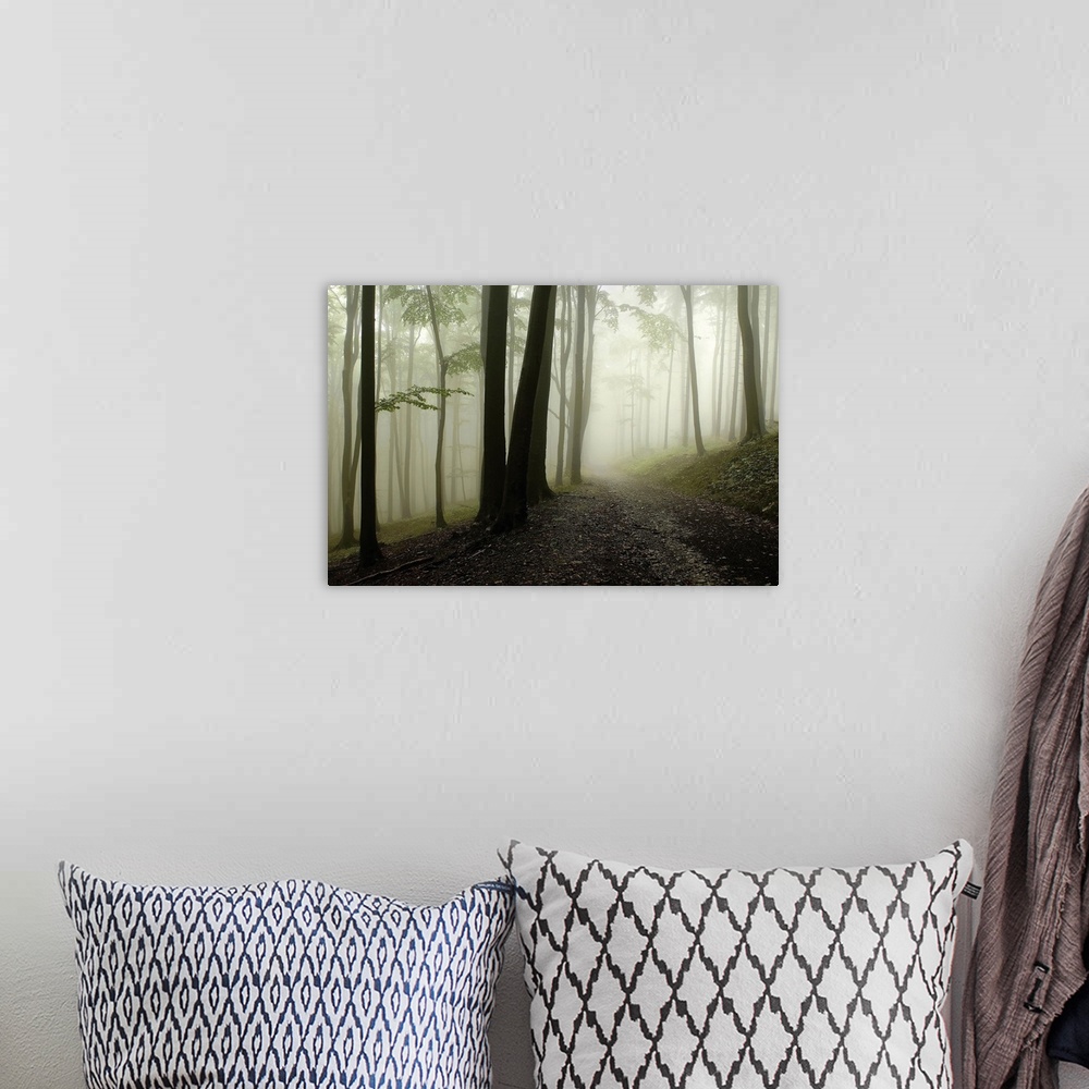 A bohemian room featuring A horizontal photograph of a graveled path through a forest covered in mist.