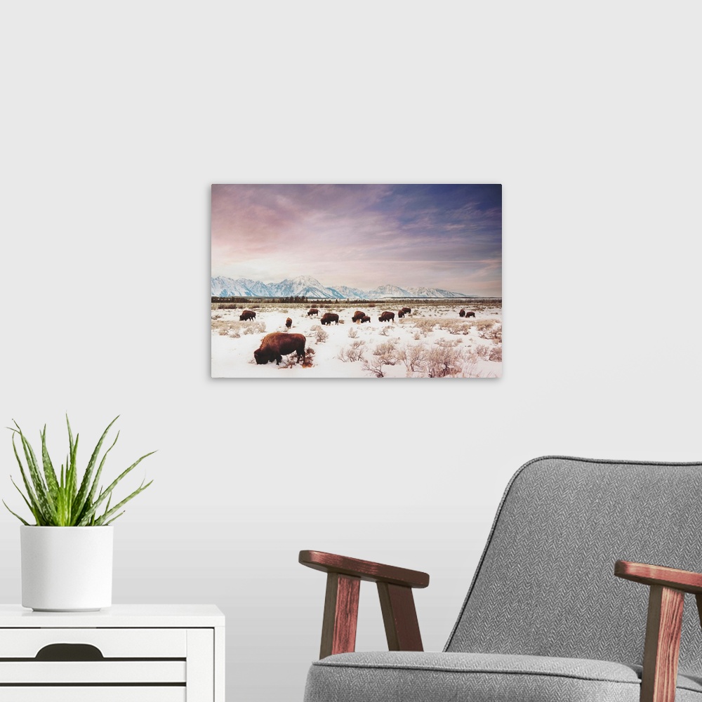 A modern room featuring Herds Of The Tetons