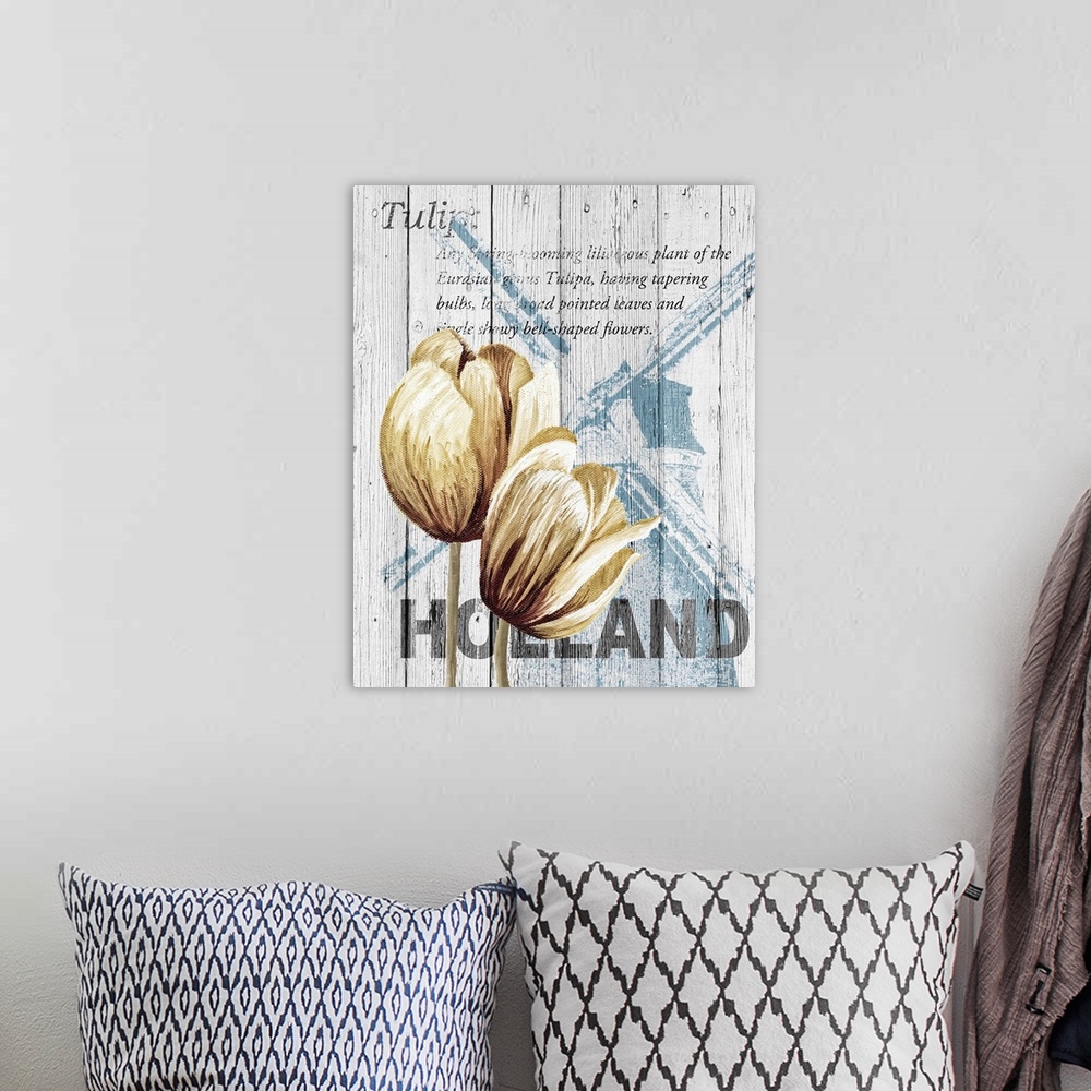 A bohemian room featuring Holland Tulips