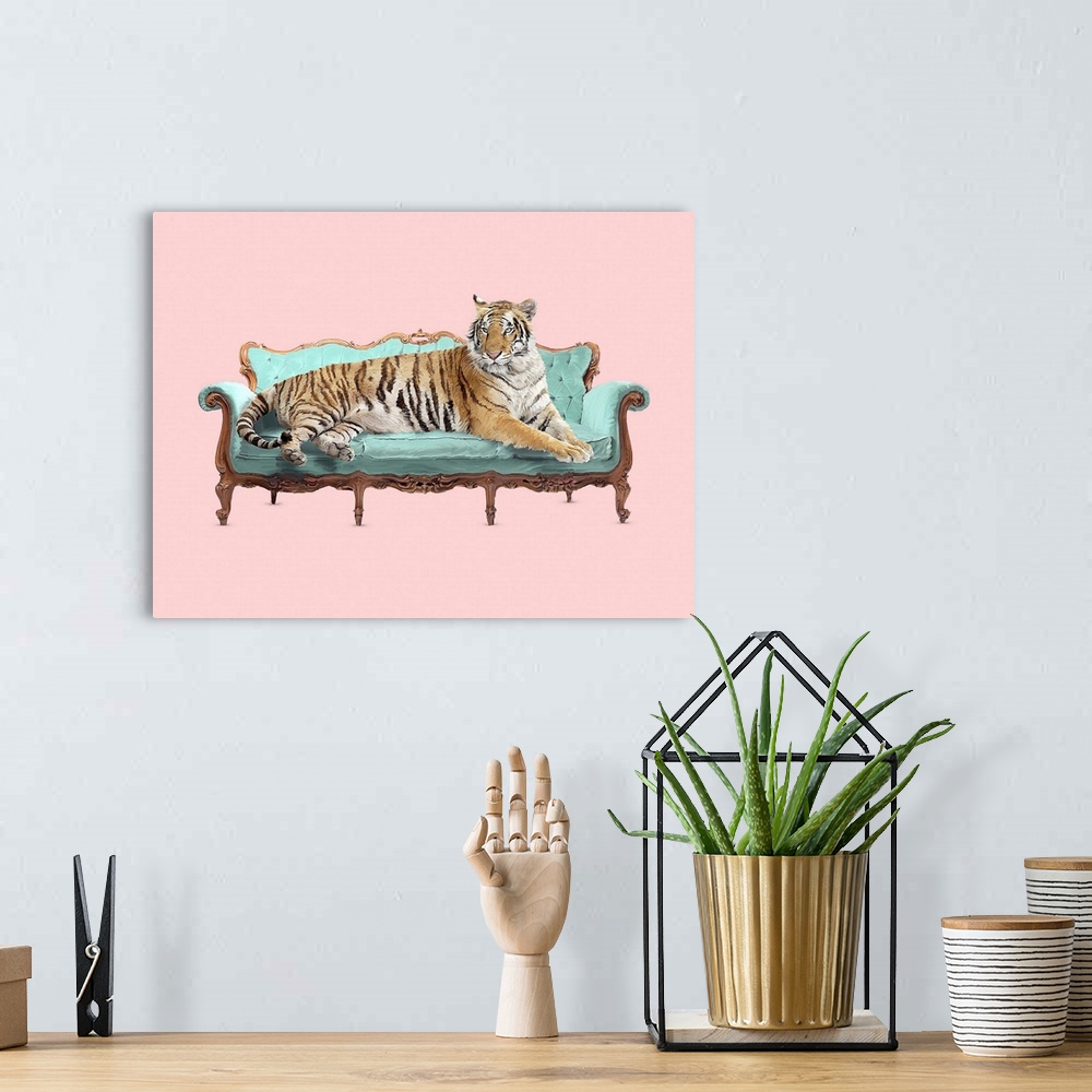 A bohemian room featuring Lazy Tiger