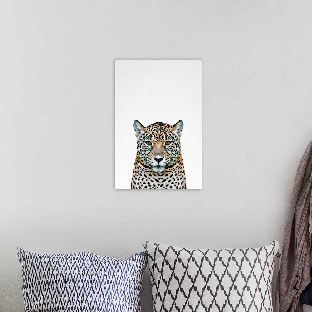 A bohemian room featuring An image of a leopard.